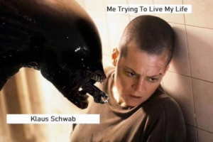 Stupid Bar Memes 83c6a9dd7665ea08