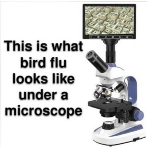 Stupid Bar Memes 89b831f0fc3941a7