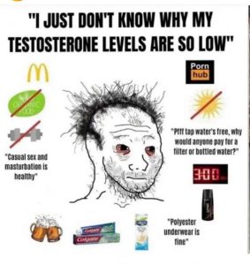 Stupid Bar Memes 9f818aa70607f8c5