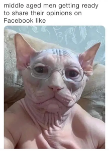 Stupid Bar Memes HVldPLP
