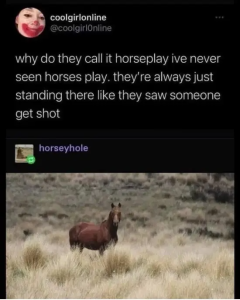 Stupid Bar Memes HkP72I2