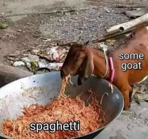 Stupid Bar Memes NqnWZZI