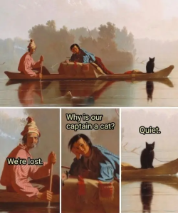 Stupid Bar Memes RpD51Sh