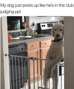 Stupid Bar Memes WARs06s30s24sAFTERNOONs55s26