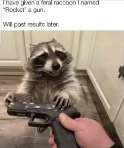 Stupid Bar Memes ZPoz6o9
