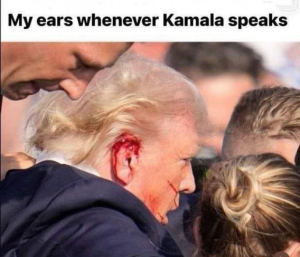 Stupid Bar Memes a2d9f17eccb0a9d6