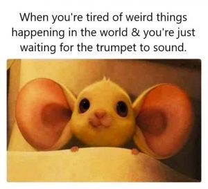 Stupid Bar Memes a77cbd70f0b3137a