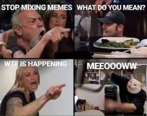 Stupid Bar Memes aO8V0R6s700b