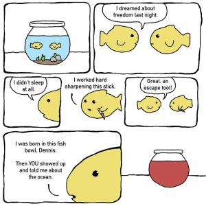 Stupid Bar Memes aRBeLnBs700b