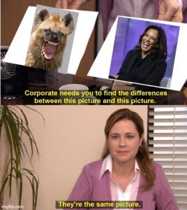 Stupid Bar Memes adcc5d1183945d6a
