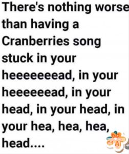 Stupid Bar Memes adf72997fe7480c5