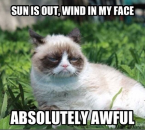 Stupid Bar Memes afac1a36ffe3fbdd680589cbbf0879c8