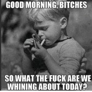 Stupid Bar Memes b4b887356eb5c266
