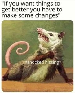 Stupid Bar Memes b513ddec8897b69e