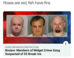 Stupid Bar Memes c4ba4d416221807a