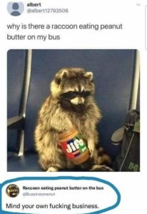 Stupid Bar Memes c7886fa09ad14b67