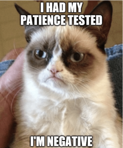 Stupid Bar Memes catshadsmyspatiencestestedsnegative