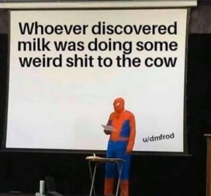 Stupid Bar Memes d4c72c43e066ba9f