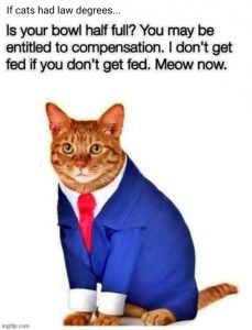 Stupid Bar Memes e24185b1463112c4