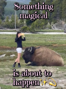 Stupid Bar Memes eGa98mg