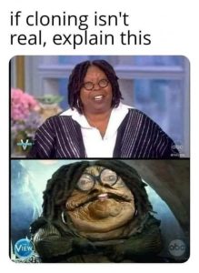 Stupid Bar Memes ea6d17172bc953f1