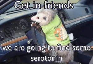 Stupid Bar Memes ej5LOMS