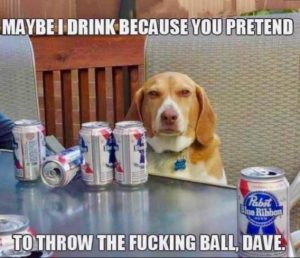 Stupid Bar Memes fbb1758e29bdf20a