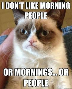 Stupid Bar Memes grumpycatsmornings