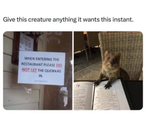 Stupid Bar Memes hLGoiAG