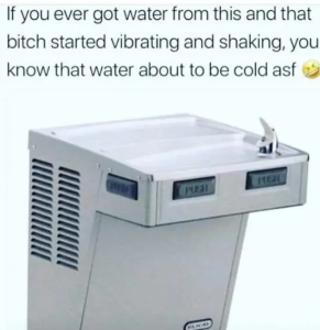 Stupid Bar Memes jo3qJt3