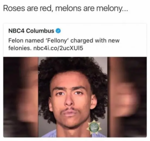 Stupid Bar Memes l3K8txo