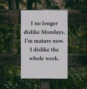 Stupid Bar Memes morningspicss4021s640shighs20