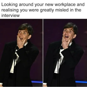 Stupid Bar Memes paddyjobsmansInstagramsWorksMemess10