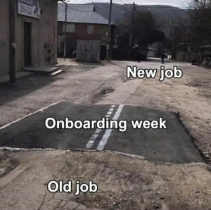 Stupid Bar Memes paddyjobsmansInstagramsWorksMemess12