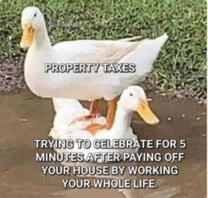 Stupid Bar Memes polis15s