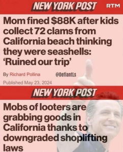 Stupid Bar Memes polis27s