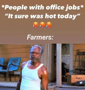 Stupid Bar Memes politicalls7s
