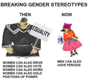 Stupid Bar Memes politicallys1s