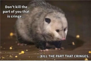 Stupid Bar Memes qMMhTeL