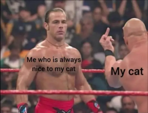 Stupid Bar Memes qNDZPlcsd