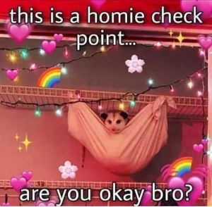 Stupid Bar Memes qfoRyQP
