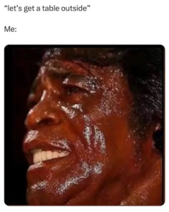 Stupid Bar Memes shitheadsteves449201846s18446219101006630s8019340816784953055sn