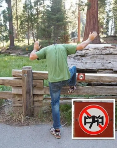 Stupid Bar Memes snimkisbuntarejsdlyaskotoryxslyubyeszapretysnesukazs1