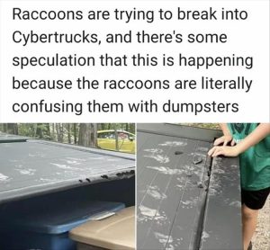 Stupid Bar Memes whensyousseesascybertruck