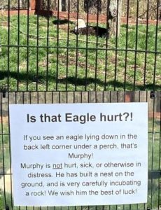 Stupid Bar Memes whensyousseesthesbirds