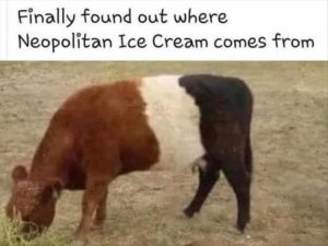 Stupid Bar Memes whensyouswantsicescream