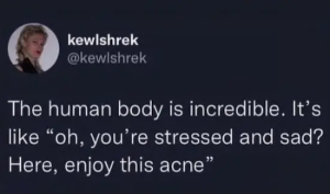 Stupid Bar Memes xecLY3g