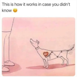 Stupid Bar Memes y2ag0mpiziad1