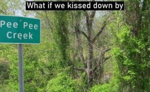Stupid Bar Memes youreskissing