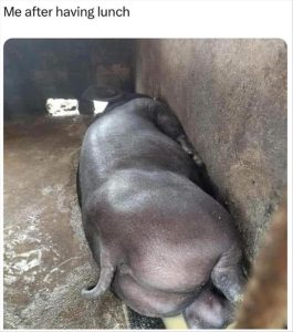 Stupid Bar Memes youreswakingsups2